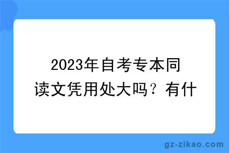 2023年自考专本同读文凭用处大吗？有什么学习方式？