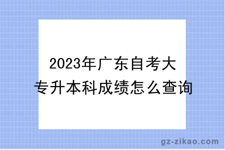 2023年广东自考大专升本科成绩怎么查询？不及格有影响吗？