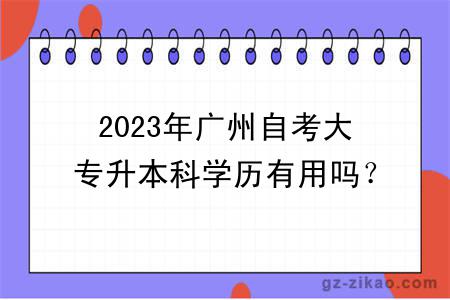 2023年广州自考大专升本科学历有用吗？