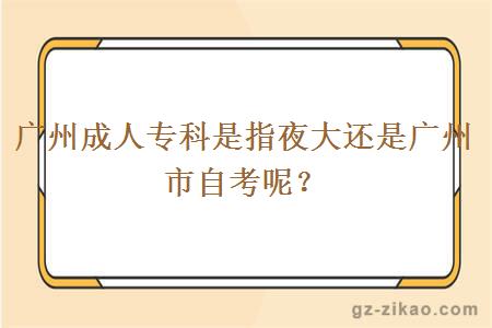 广州成人专科是指夜大还是广州市自考呢？