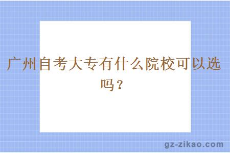 广州自考大专有什么院校可以选吗？