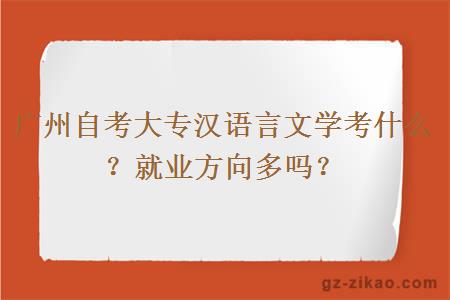 广州自考大专汉语言文学考什么？就业方向多吗？