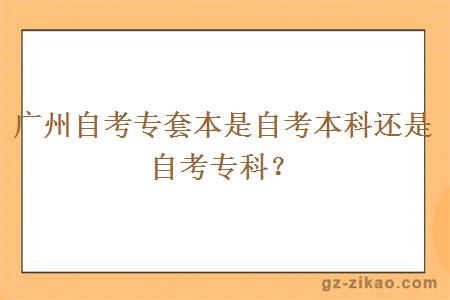 广州自考专套本是自考本科还是自考专科？