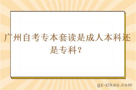 广州自考专本套读是成人本科还是专科？