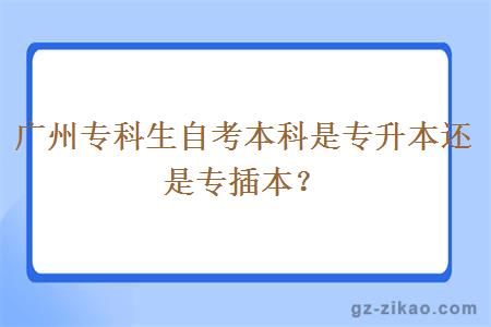 广州专科生自考本科是专升本还是专插本？