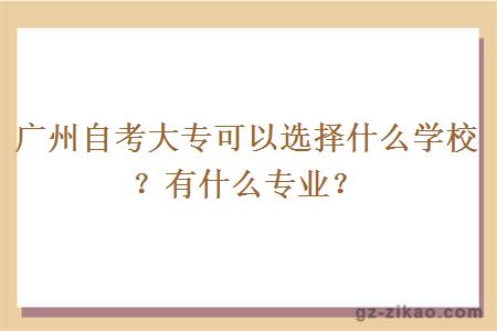 广州自考大专可以选择什么学校？有什么专业？