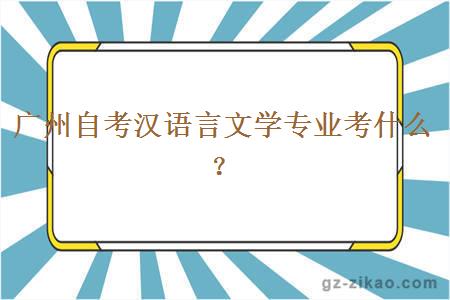 广州自考汉语言文学专业考什么？