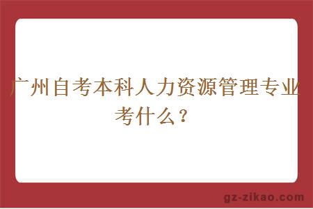 广州自考本科人力资源管理专业考什么？