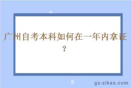 广州自考本科如何在一年内拿证？