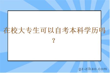 在校大专生可以自考本科学历吗？