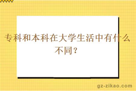 专科和本科在大学生活中有什么不同？