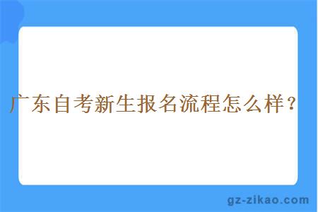 广东自考新生报名流程怎么样？