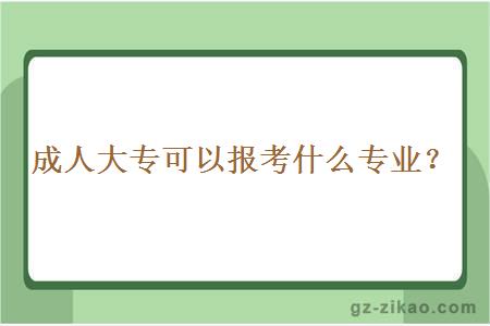 成人大专可以报考什么专业？