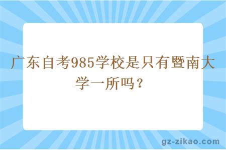 广东自考985学校是只有暨南大学一所吗？