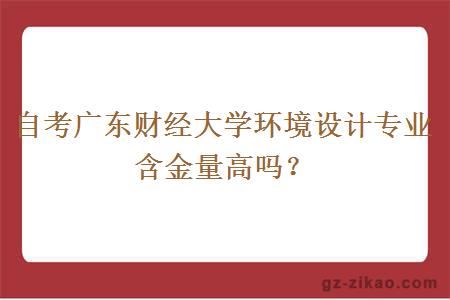 自考广东财经大学环境设计专业含金量高吗？