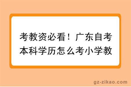 考教资必看！广东自考本科学历怎么考小学教师资格证呢？