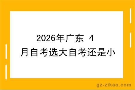 2026年广东 4 月自考选大自考还是小自考？费用 / 难度 / 拿证对比