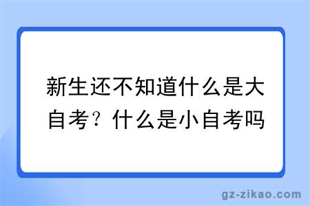 新生还不知道什么是大自考？什么是小自考吗？