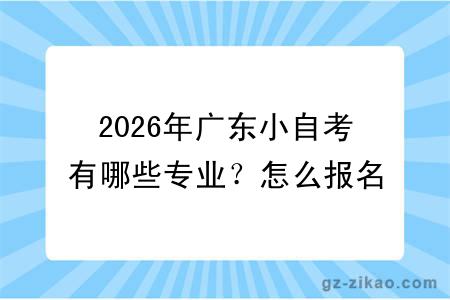 2026年广东小自考有哪些专业?怎么报名?多久拿证?(附带详细报名流程)