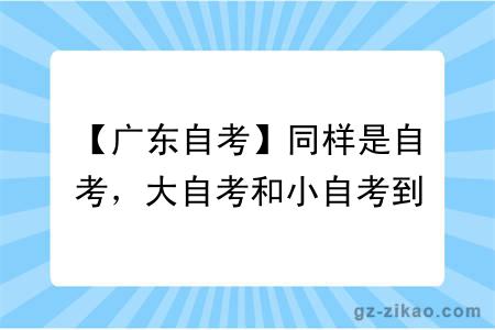 【广东自考】同样是自考,大自考和小自考到底怎么选?别再傻傻分不清了!