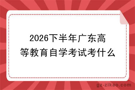 2026下半年广东高等教育自学考试考什么内容？